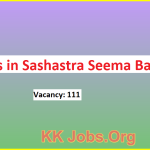SI jobs in Sashastra Seema Bal